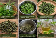 Dari Hutan ke Cangkir: Kumis Kucing, Ramuan Herbal yang Tetap Dipercaya Menjaga Saluran Kemih
