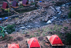 Sejuknya Agrowisata Boma Gunung Pasang Jember, Rimba Camp dengan Panorama Perkebunan dan Sungai Jernih
