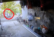 Nenek Jadi Korban Jambret di Ngoro Mojokerto, Pelaku Berpura-pura Ramah dan Beri Makanan Sebelum Gasak Kalung 