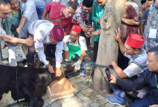 Seleksi Calon Pimpinan Baznas Kota Mojokerto Loloskan 8 Nama ke Tahap Penjaringan Berikutnya