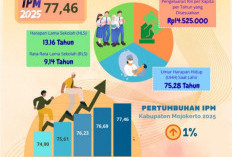IPM Kabupaten Mojokerto 2025 Tembus 77,46