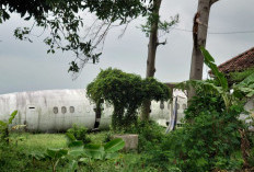 Kegunaan Bangkai Pesawat Deraya Papua di Lahan Kosong Mojokerto Masih Menjadi Misteri