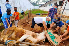 Menjaga Kesucian Iduladha, Membasuh Darah Kurban Tanpa Mengotori Lingkungan