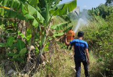 Dua Kebakaran Terjadi dalam Sehari di Mojokerto, Ilalang hingga Tumpukan Rongsokan Dilalap Api