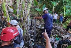 Lepas Kandang, Kambing Milik Warga di Mojokerto Masuk Dalam Sumur, Damkar Evakuasi dalam Kondisi Sehat