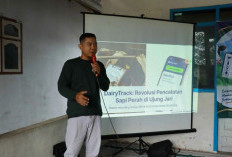 Catatan Sapi Tak Lagi Bergantung pada Kertas, Peternak Lumajang Kenali DairyTrack