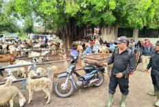 Cegah Penyebaran PMK, Pasar Hewan di Mojokerto  Disemprot Disinfektan