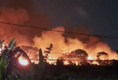 Bangunan dan Kandang Ayam di Mojokerto Ludes Dilalap Si Jago Merah, 50 Ribu Ayam Hangus Terbakar