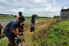 Lahan Bakal Pusat Pemerintah Kabupaten Mojokerto Mulai Diukur