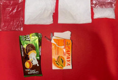 Hendak Edarkan Narkoba, Polisi di Mojokerto Ringkus Pengedar Sabu, Sita 17,69 Gram