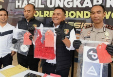 Nekat Live Konten Porno di Medsos Demi Uang, Pasangan Kekasih di Bondowoso Diciduk Polisi