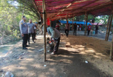 Arena Judi Sabung Ayam di Mojokerto Digrebek Hingga Dibongkar