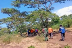 Kakek di Situbondo Hilang Saat Menggembala Sapi di Hutan Taman Nasional Baluran