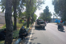 Pulang dari Mendaki, 2 Orang Alami Kecelakaan di Mojokerto Usai Motornya Menabrak Pohon