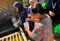 Biji Kelor Berhasil Jernihkan Air Gucialit, Kekeruhan Turun Jadi 1,07 NTU