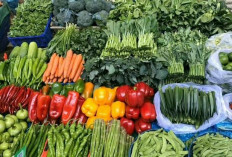 Tips Memilih Sayur Segar yang Berkualitas