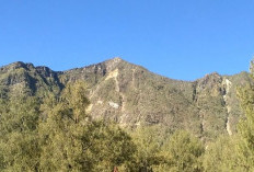 Antisipasi Cuaca Ekstrem, Seluruh Jalur Pendakian Gunung Arjuno-Welirang Ditutup Mulai 16 November 2025