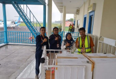 PMI Jember Kirim 100 Kantong Darah ke Sumatera melalui Fly Jaya
