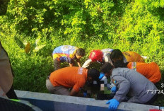 Supeltas Exit Tol Gedeg Ditemukan Meninggal di Saluran Irigasi, Polisi Selidiki Penyebab Kematian