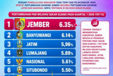 Ekonomi Jember Tumbuh 6,35 Persen, Lampaui Jawa Timur dan Nasional