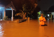 Hujan Deras Picu Banjir Luapan Anak Sungai Sadar di Mojokerto, Puluhan Rumah Terdampak