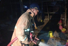 Kandang Ternak Ayam di Mojokerto Terbakar, Dua Unit PMK Dikerahkan