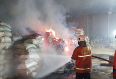 Musim Kemarau Datang, BPBD Mojokerto Siaga Lonjakan Kebakaran dan Angin Kencang