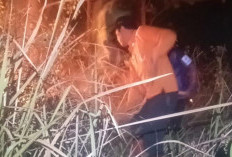 Kebakaran Landa Area 10 Hektare Hutan Produksi di Mojokerto