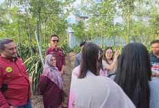 Mahasiswa Thailand Belajar Rantai Pasok Kopi Jawa di Jember, Unej Kenalkan Agribisnis dari Hulu hingga Hilir