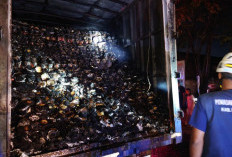 Diduga Korsleting Listrik, Truk Muatan Mie Instan Cup Ribuan Karton Ludes Terbakar di Mojokerto