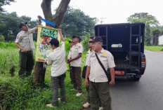Langgar Perda, Puluhan Reklame Insidentil di Mojokerto Ditertibkan Petugas