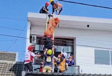 Pekerja Renovasi Rumah di Mojoanyar Tewas Tersengat Listrik, Diduga Tanpa Alas Kaki