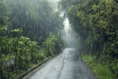 Musim Penghujan Picu Peningkatan Flu, Pilek dan Batuk Saat Puasa Ramadan