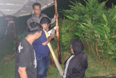 Ngumpul dan Nduren Bareng Kauje Korda Mojokerto Bakal Dihadiri Pengurus Pusat Kauje