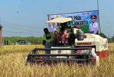 Pemkab Mojokerto Salurkan Alsintan dan Benih Jagung, Dorong Produktivitas Pertanian di Tengah Tantangan Iklim