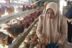 Dari Kandang Ayam ke Harapan, Cara Lilik Nur Fawiyah  Menghidupkan Semangat Kartini di Desa