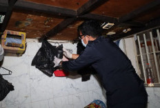 Razia Blok Hunian Lapas Mojokerto, Petugas Temukan Senjata Tajam Rakitan