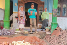 Saat Desa Masih Terlelap, Pedagang Ubi di Gondang Mojokerto Sudah Menyalakan Asa Sejak Tengah Malam