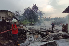 Diduga Korsleting Listrik, Warung Makan dan Kopi di Mojosari Hangus Terbakar