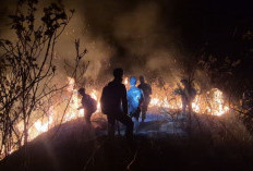 Karhutla di Pegunungan Anjasmoro Mojokerto Padam, 2,5 Hektare Vegetasi Hutan Terbakar