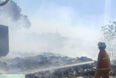 Tumpukan Sampah TPS3R di Jetis Mojokerto Terbakar, Dua Unit Damkar Dikerahkan