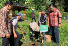 Sekolah Lapang Degradasi Lahan dan Tataguna Air Proyek Mewlafor Kenalkan Panen Air Hujan