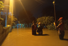 Hujan Deras, Beberapa Wilayah Mojokerto Banjir, Ratusan Rumah Terendam, Puluhan Lansia Dievakusi