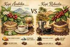 Sering Tertukar,  Inilah Perbedaan Antara Kopi Arabika dan Robusta