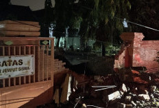 Hujan dan Angin Kencang Tumbangkan Pohon di Dua Kecamatan Mojokerto, Pagar Sekolah Tertimpa Pohon