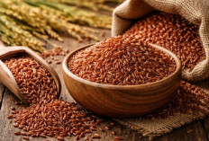 Beras Merah: Investasi Kesehatan dalam Setiap Butiran