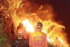 Karhutla Landa Kawasan Bukit Jengger Mojokerto, Api Padam Setelah 11 Jam