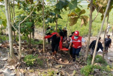 PMI dan Relawan Evakuasi Lansia 70 Tahun Terjebur Kobangan Lumpur di Sawah di Kota Mojokerto 