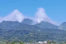 Bukit Cendono Mojokerto Ditutup Sementara Imbas Kebakaran Hutan di Gunung Biru