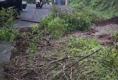 Tanah Ambrol di Trawas Tutup Separuh Jalan Raya, Arus Lalu Lintas Sempat Terganggu